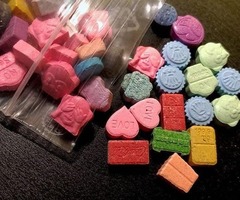 Samples Fentanil Apvp ecstasi roxicodon xannies meth ice Coke
